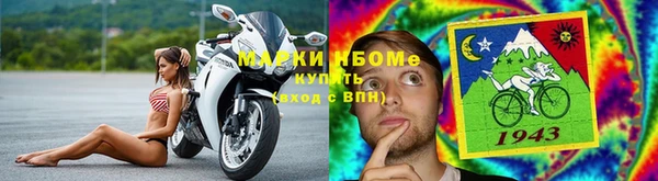 стаф Богданович