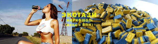 стаф Богданович
