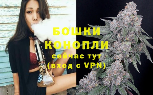 ПСИЛОЦИБИНОВЫЕ ГРИБЫ Богородицк