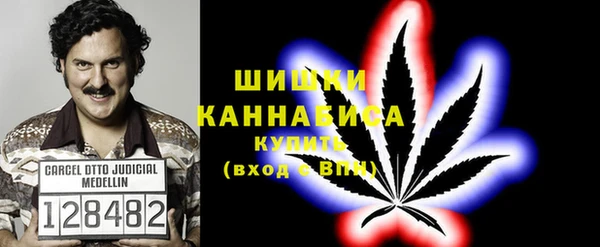 стаф Богданович