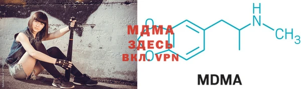стаф Богданович