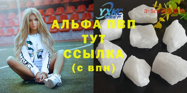 стаф Богданович