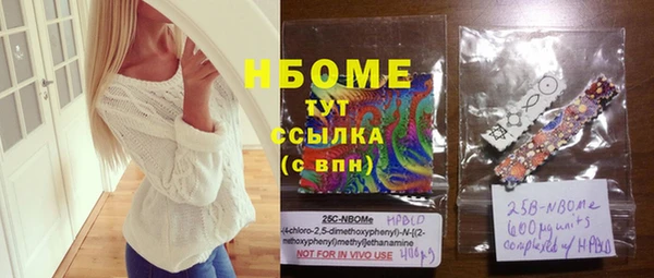 стаф Богданович