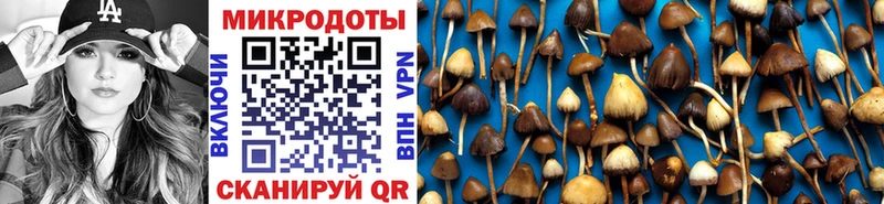 Галлюциногенные грибы Cubensis  Мостовской 